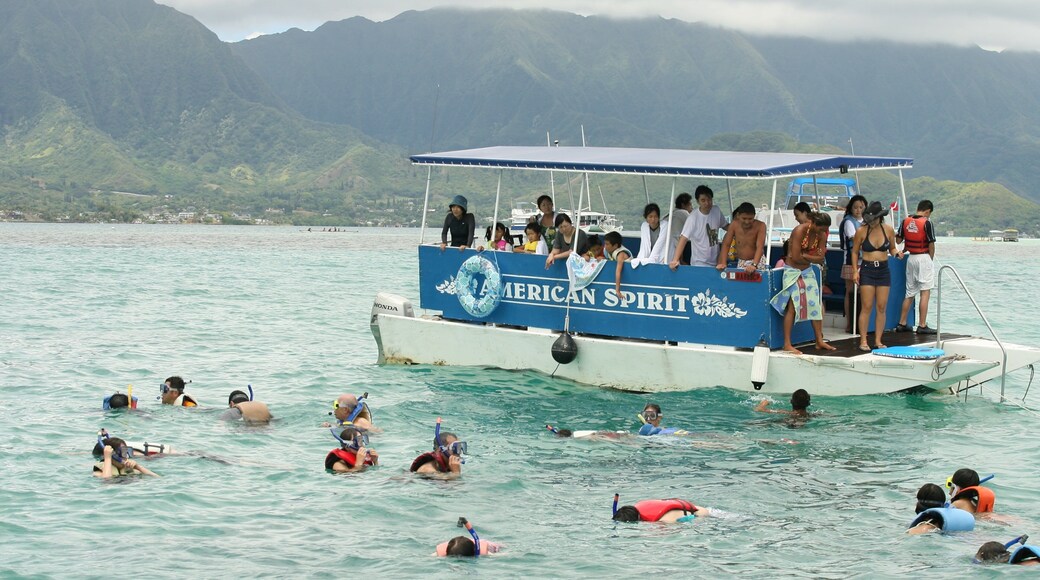 Kaneohe which includes general coastal views and boating as well as a large group of people