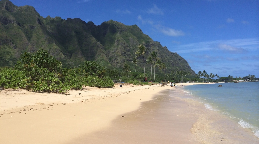 This turned out the be a great beach...lots of grass, trees for shade, a view of Chinaman's Hat & the mountains. This is a great spot to paddle out to Chinaman's Hat.