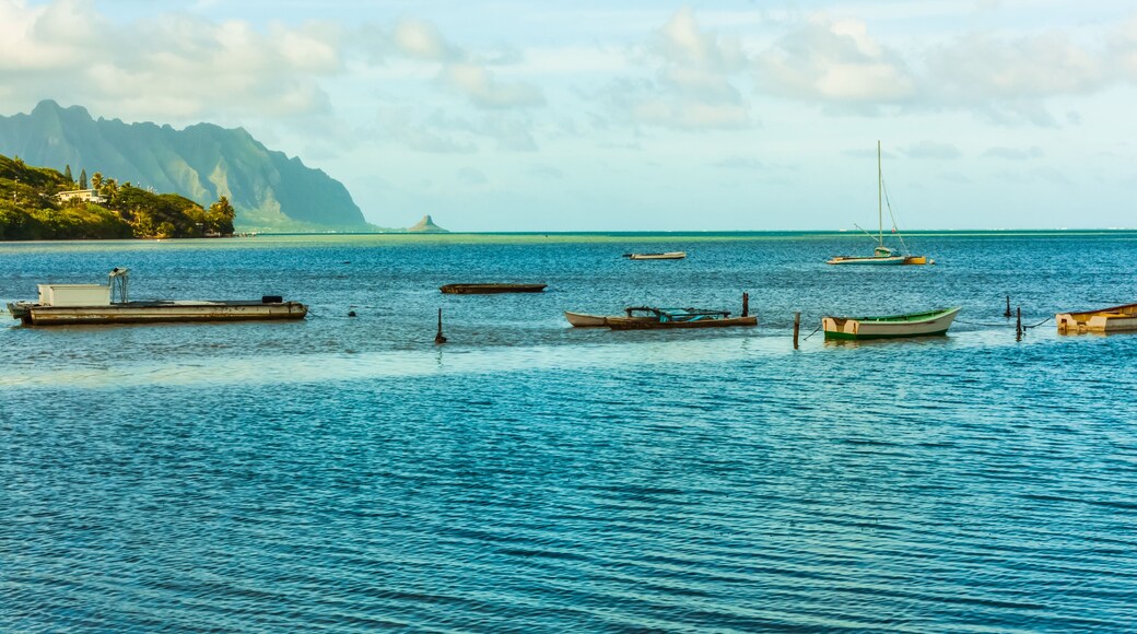 Small Fishing Boats Moored Near Heeia Kea Marina With Mokolii Island (Chinamans Hat) Across Kaneohe Bay, Oahu, Hawaii, USA