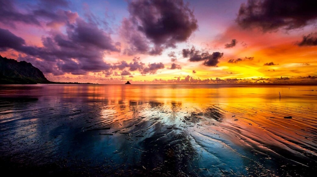 Amazing colors during sunrise here in Kahaluu. #☀️ #☁️ #🌊 #🌅 #👋 #⛰ #sky #landscape #water #clouds #summer #sea #travel #cloud #horizon #sun #tree #scenery #ocean #beach #coast #lake #vacation #scenic #sunny #reflection #nature #travel #instagood #summer