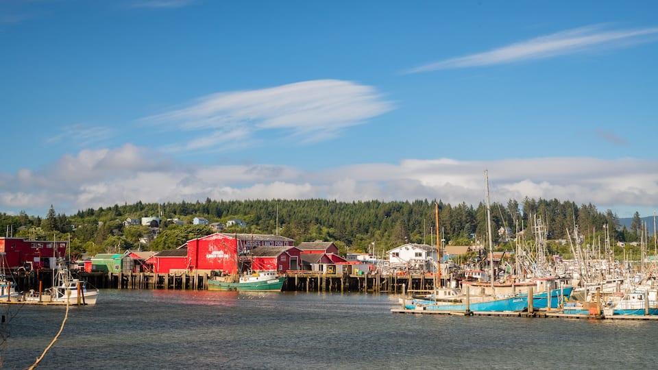A harbor with boats, a red building, and a forested hill in the background.