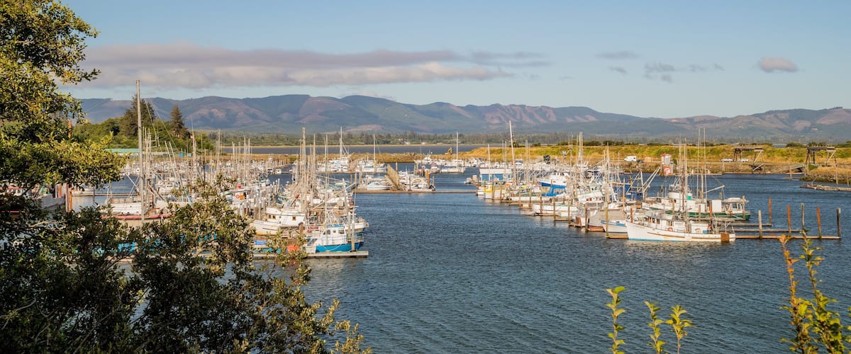 Ilwaco showing a bay or harbor