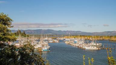 A marina with numerous boats docked, surrounded by mountains and trees.