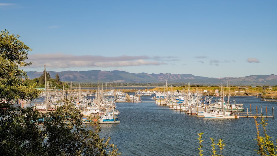 A marina with numerous boats docked, surrounded by mountains and trees.