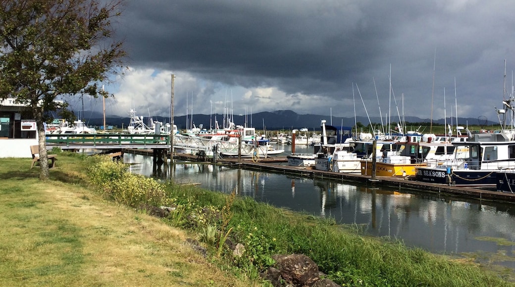Only 20 minutes from Astoria OR and 10 minutes from Long Beach. Enjoy the Saturday market along the waterfront, go fishing, or start here on your 8 mile walk or bike ride of the Discovery Trail. Don't let the gray clouds concern you, this is not uncommon.