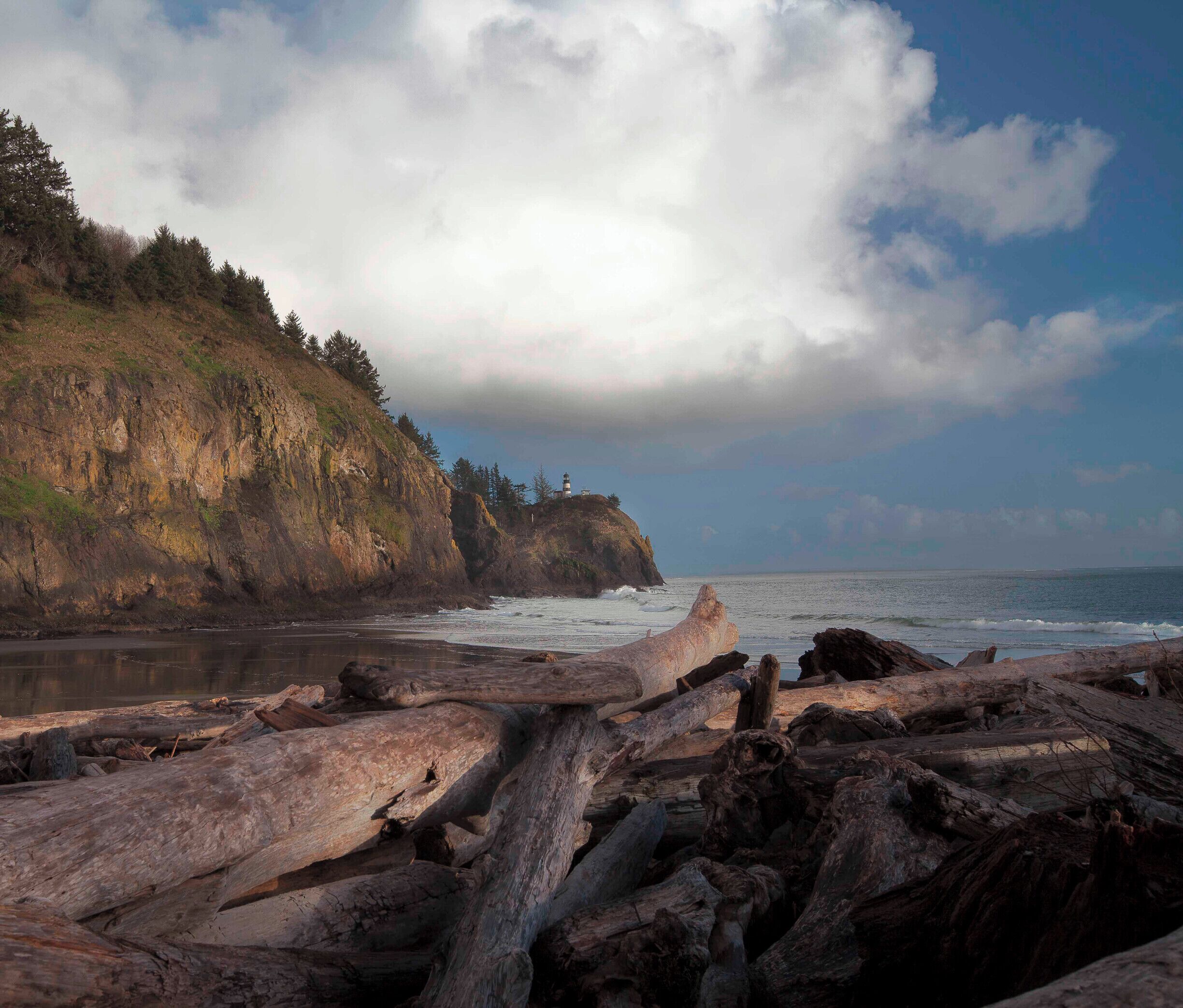 A coastal landscape with a rocky shoreline, driftwood, and a lighthouse on a cliff.