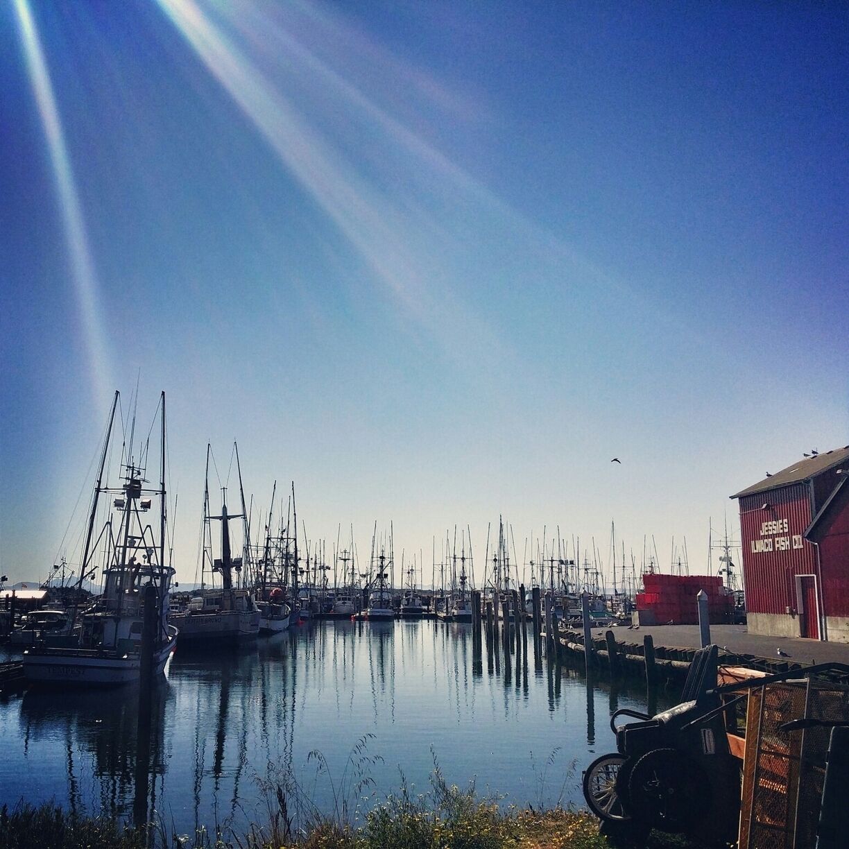 If you're on your way to Long Beach, WA make a quick stop at this beautiful port. They have an awesome Saturday farmers market as well!