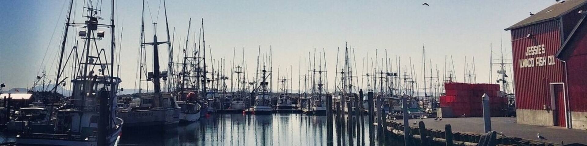 If you're on your way to Long Beach, WA make a quick stop at this beautiful port. They have an awesome Saturday farmers market as well!