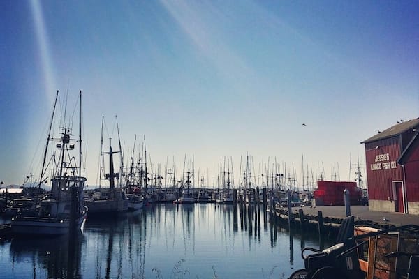 If you're on your way to Long Beach, WA make a quick stop at this beautiful port. They have an awesome Saturday farmers market as well!