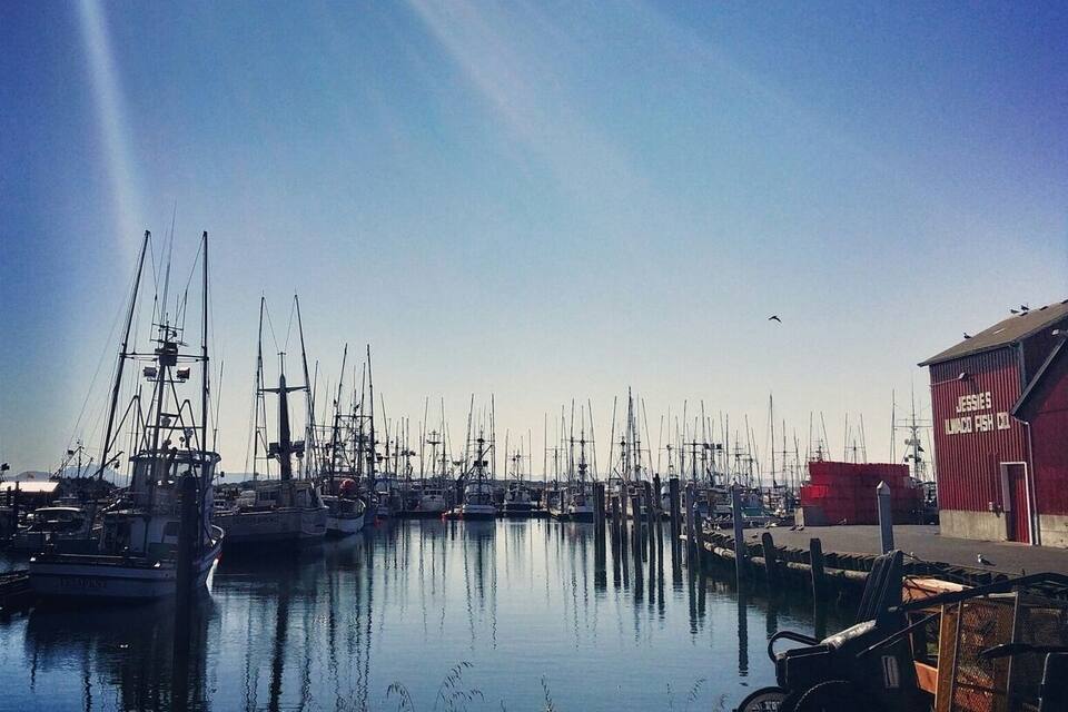 Un port esportiu amb nombrosos velers amarrats, un edifici vermell amb la inscripció 'JESSIES ALMACO FISH CO.' i un cel blau clar.