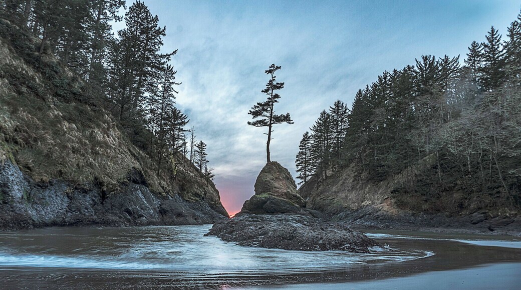 On your hike to the Cape Disappointment Light House look for Dead Mans Cove. Aptly named for the number of seamen that drowned trying to cross the Columbia River Bar and their bodies washed up into this cove. Mother nature placed a tombstone in the center of the cove in their memory.