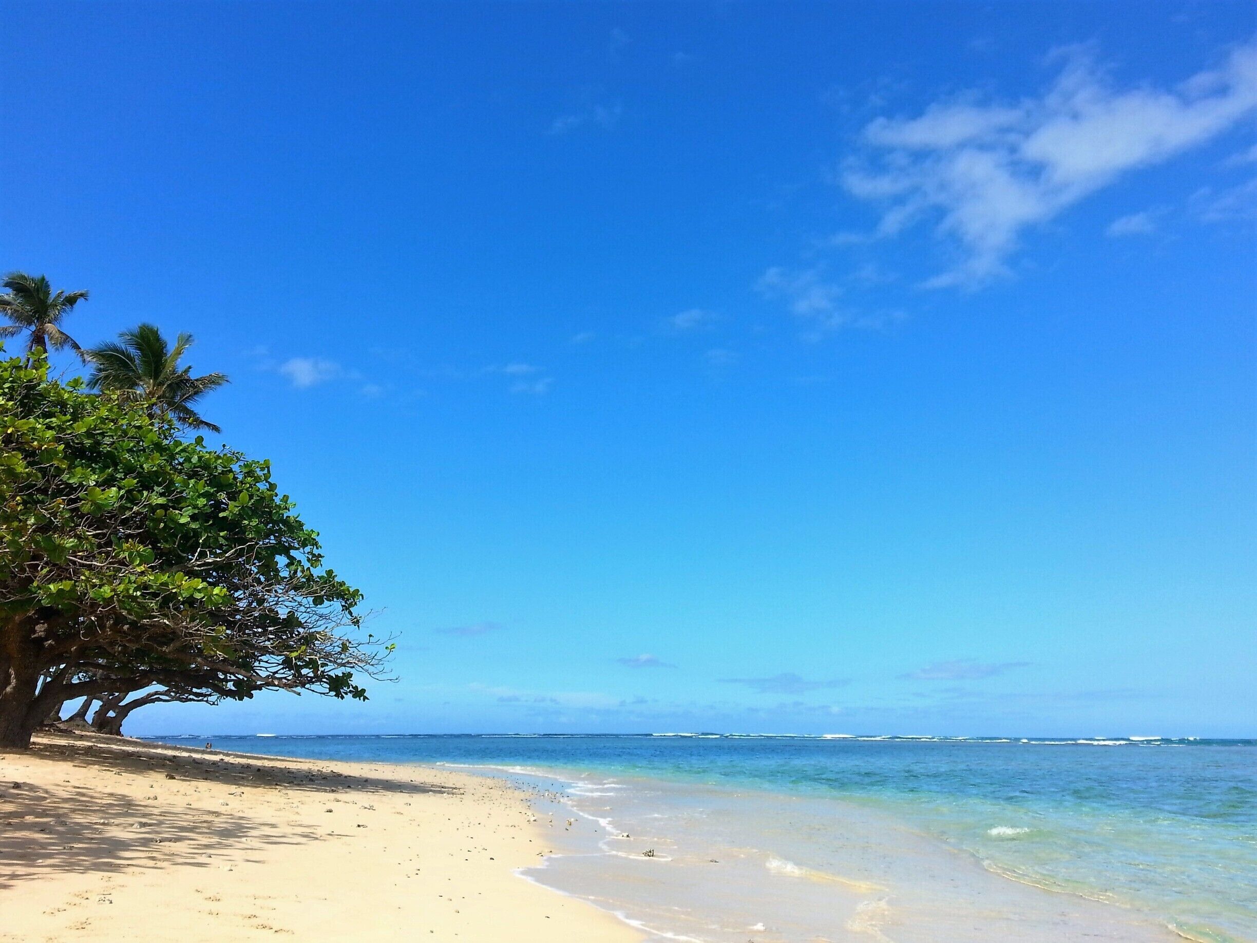 Beautiful different shades of blue waters
White soft sands
Mountains just to your left