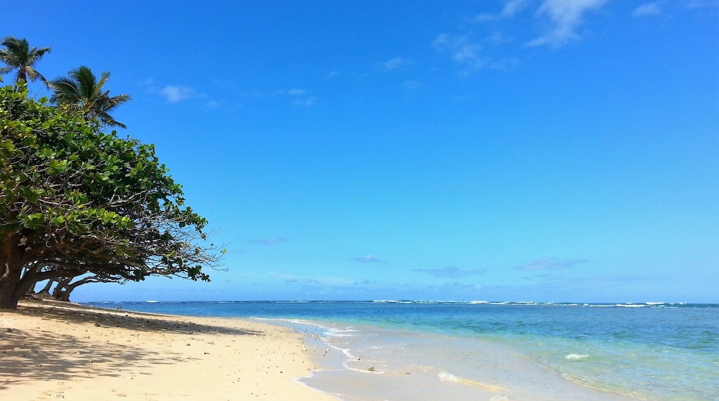 Beautiful different shades of blue waters
White soft sands
Mountains just to your left