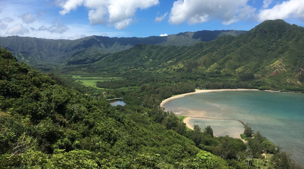 Quick BEAUTIFUL hike, but definitely be prepared! Very steep and can be slick after rain. Enter between the "Do Not Pass" sign and telephone pole on the mountain side of the island.