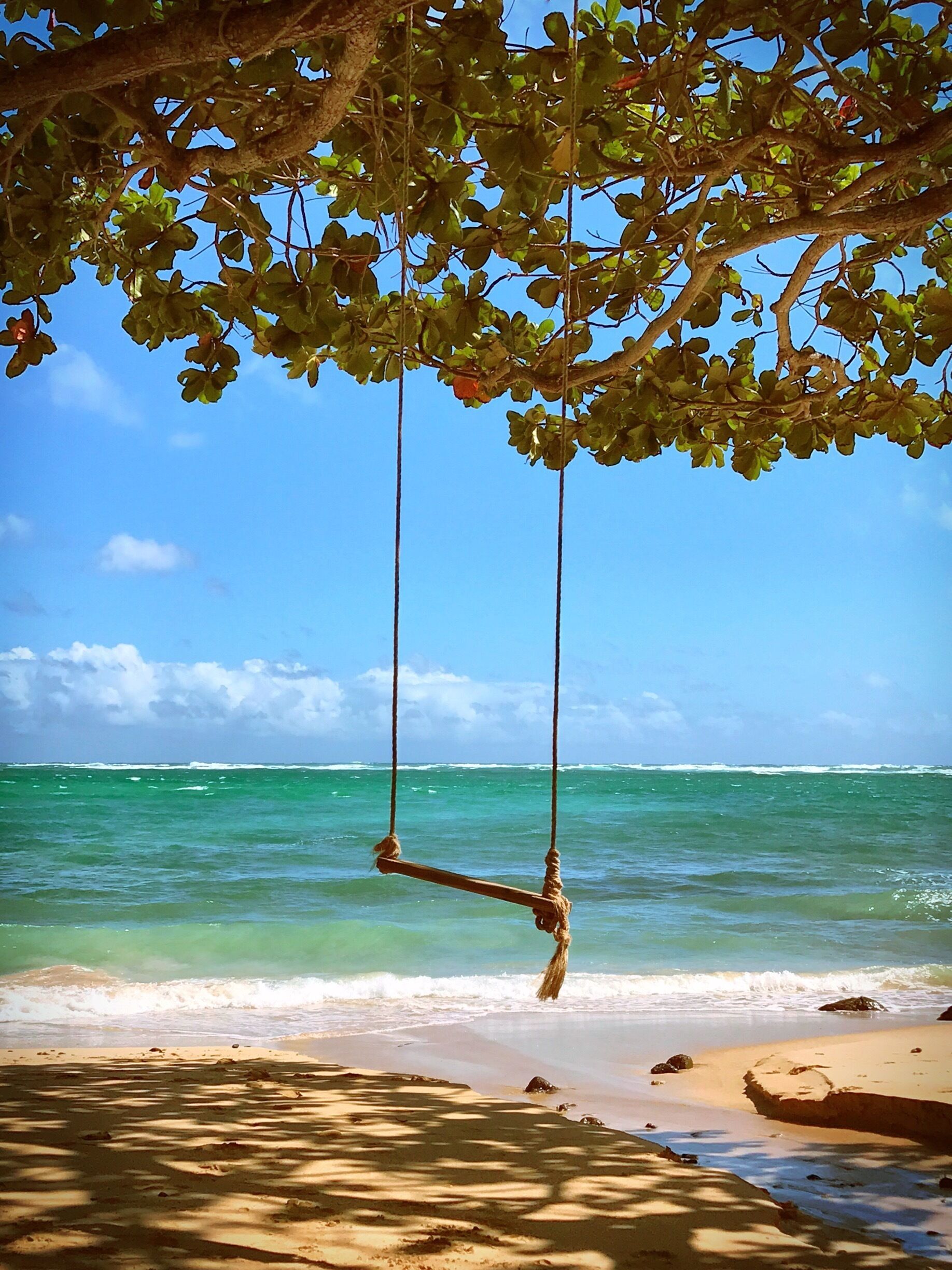 One of the many swings set up along Oahu's Nth Shore beaches :)