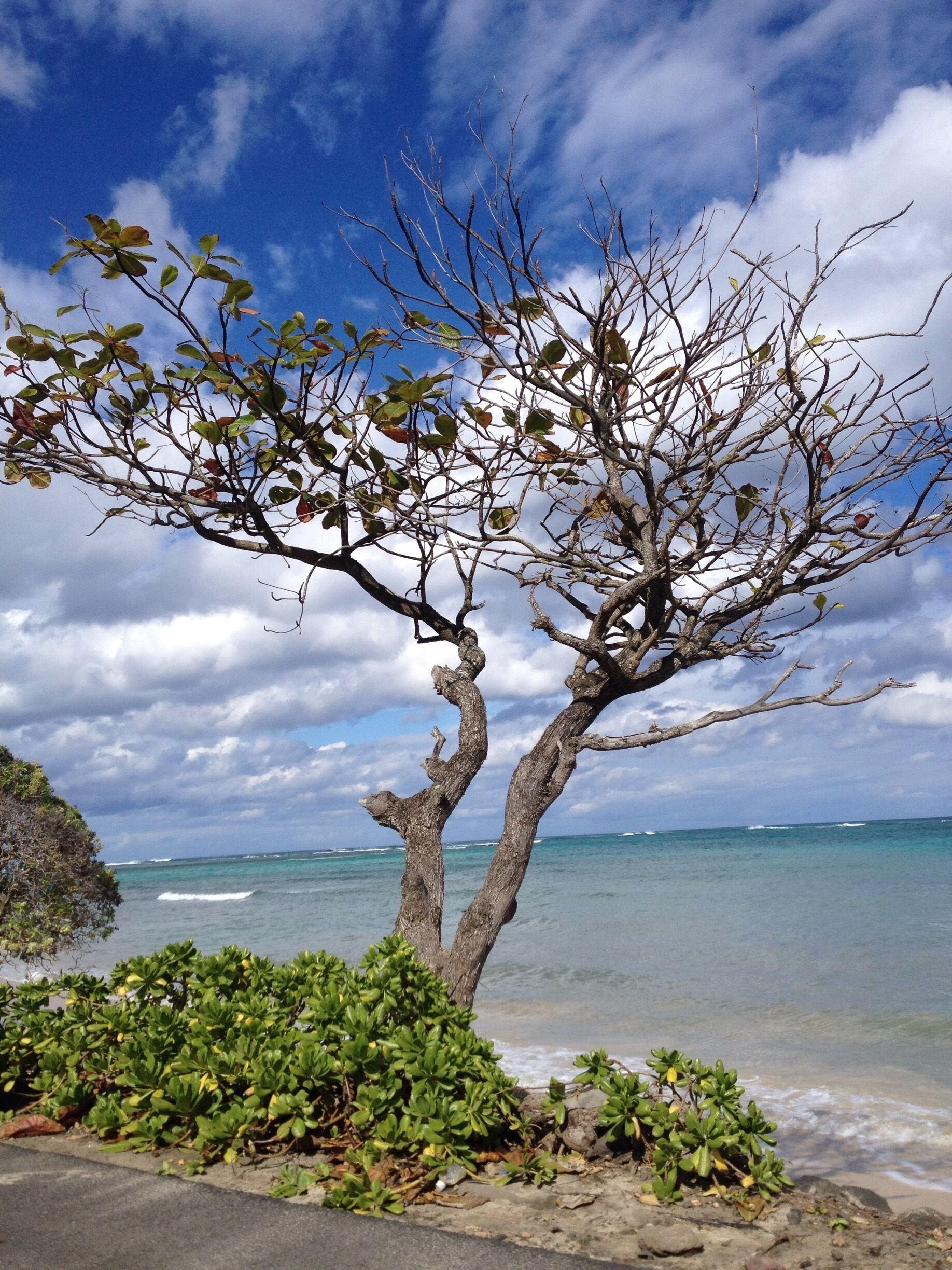 Just thought this was pretty cool 