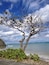 Kalae'o'io Beach Park