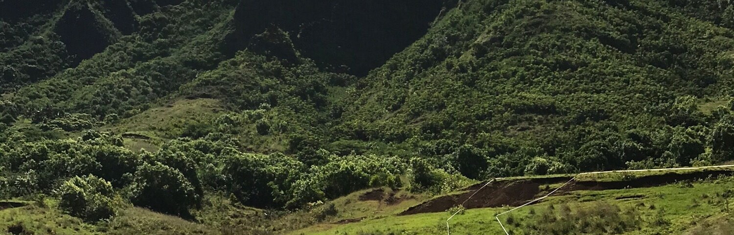 Koala ranch is beautiful! We did the zip lining tour which essentially gets you movie tour for free (who doesn't love a buy1get1 deal?). Small groups (up to 10) provides an intimate experience. Excellent for team building! Don't forget mosquito repellent! #LifeatExpedia