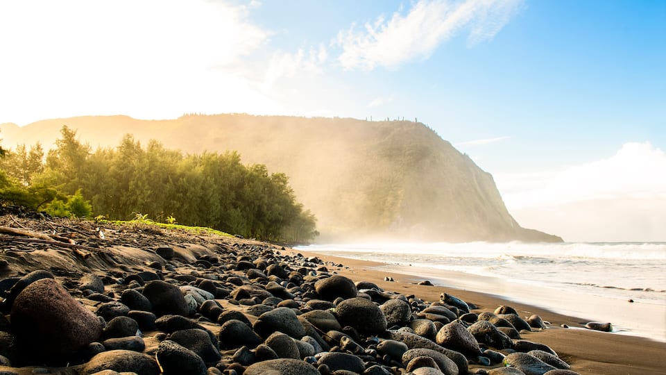 A rocky beach with waves, a forested cliff, and a clear sky.