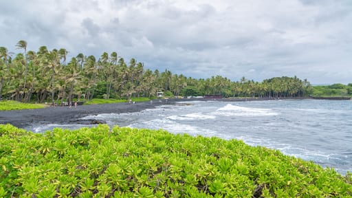 Amazing Punalu'u black sand beach, Big Island, Hawaii