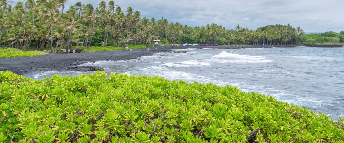 A beach with black sand, palm trees, and ocean waves.