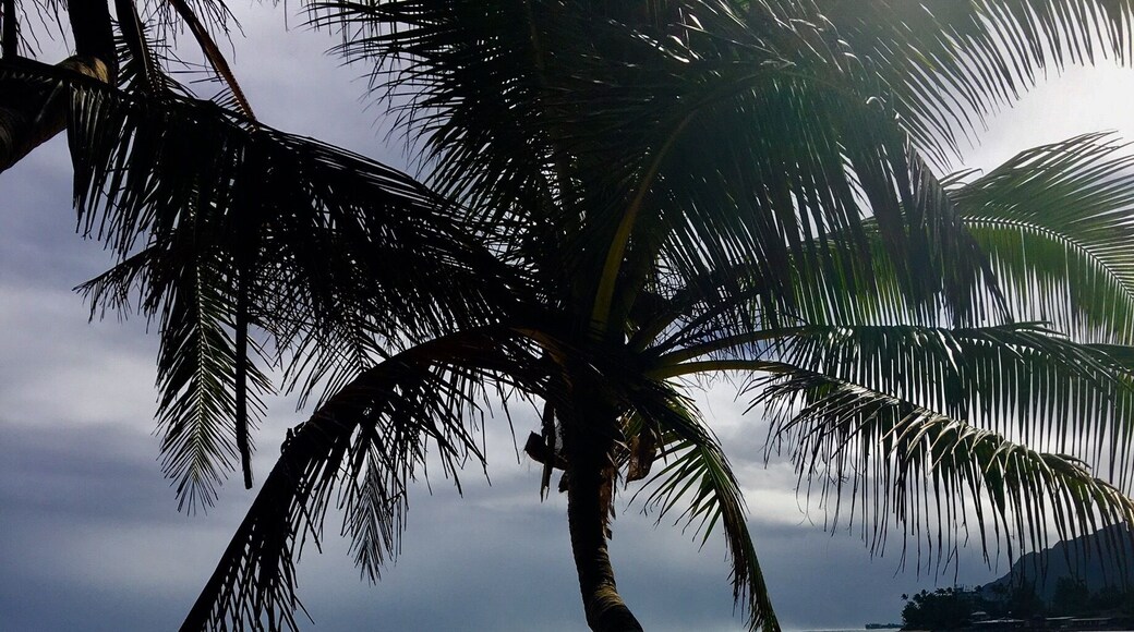 Fabulous beach at Hauula during winter.
#BeachBound