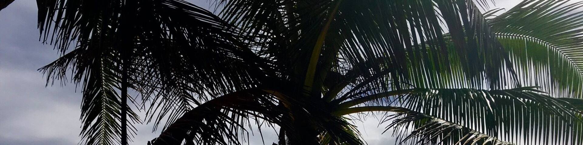 Fabulous beach at Hauula during winter.
#BeachBound