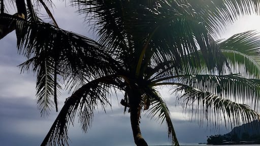 Fabulous beach at Hauula during winter.
#BeachBound