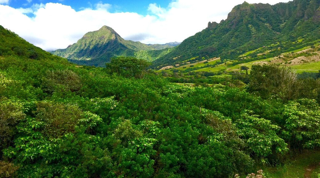 Journey 2: The Mysterious Island.