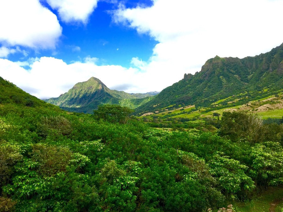 Journey 2: The Mysterious Island.