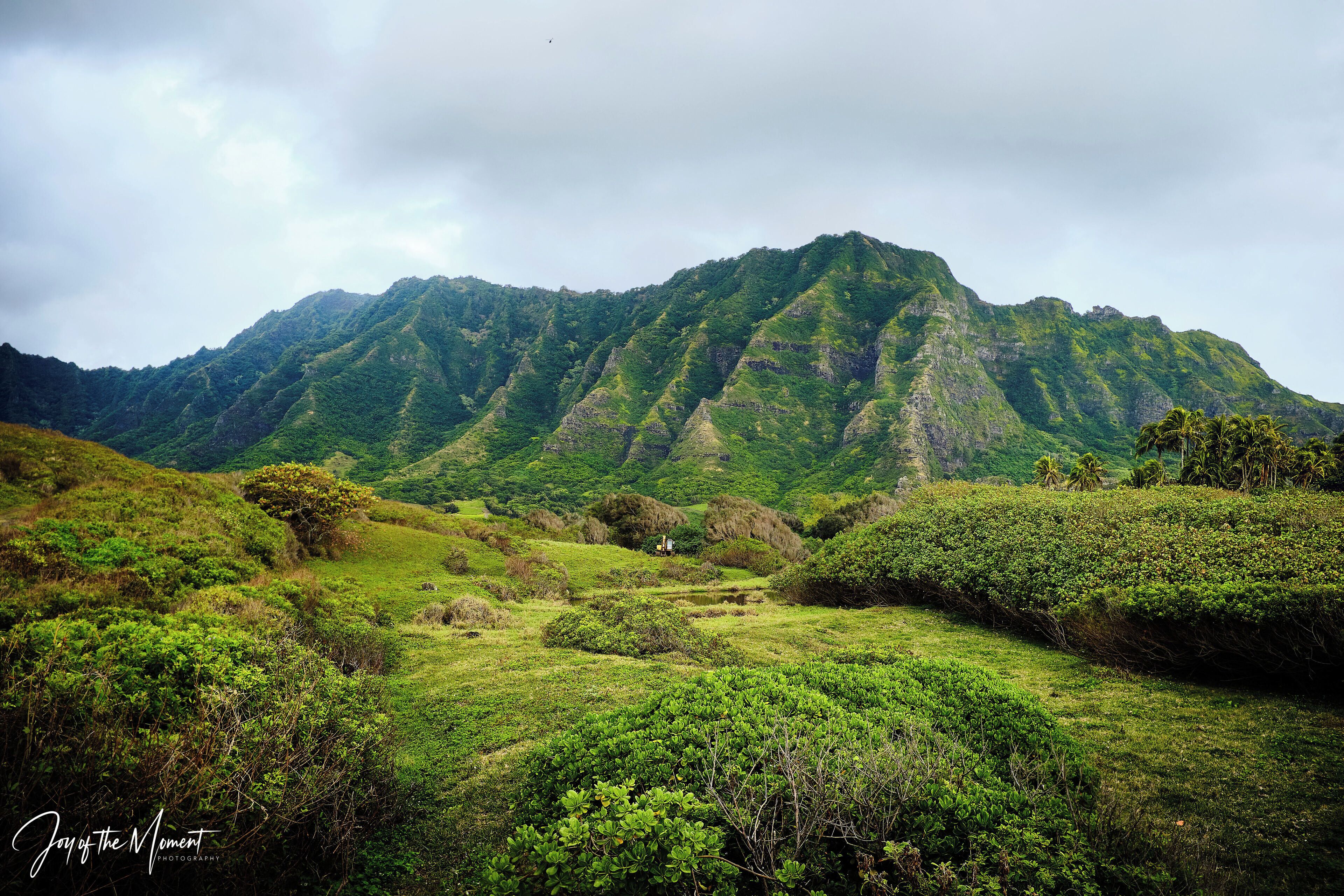 #Adventure Contest
For the fans of the ‘Lost’ series that were filmed on Oahu island, here’s the shot from the Kaaawa Valley.