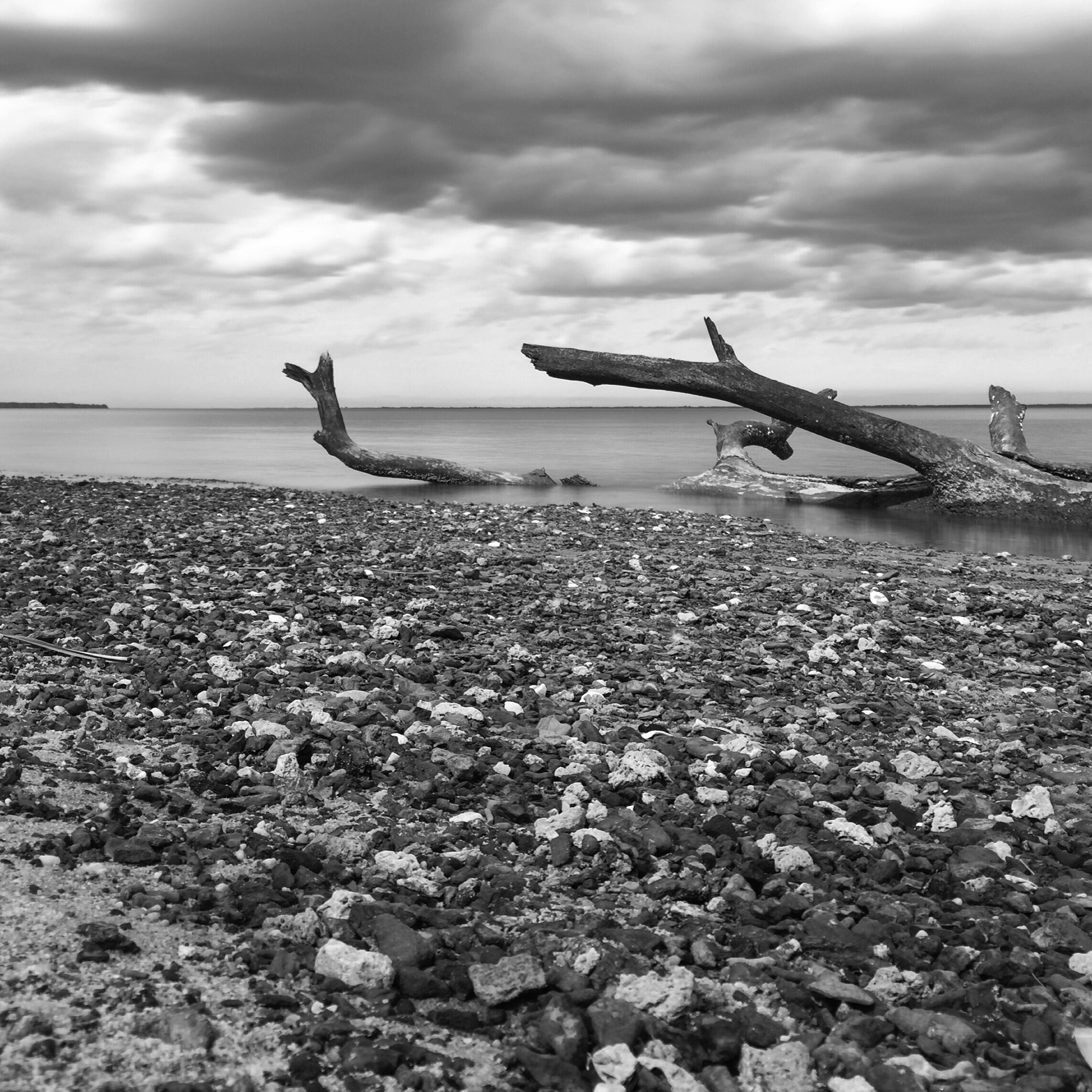 Flanners Beach on the Neuse River in the Croatan Forest 