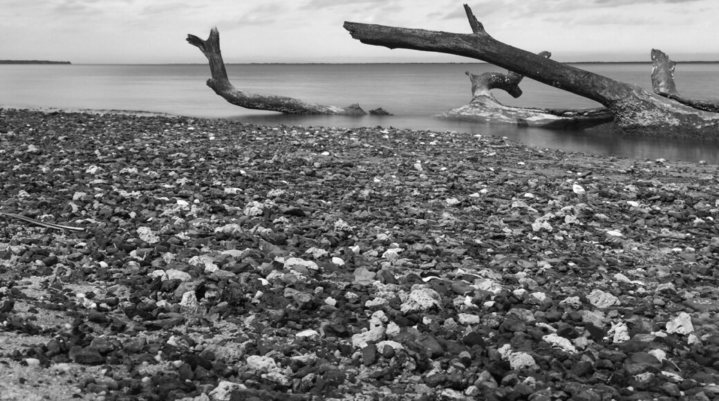Flanners Beach on the Neuse River in the Croatan Forest