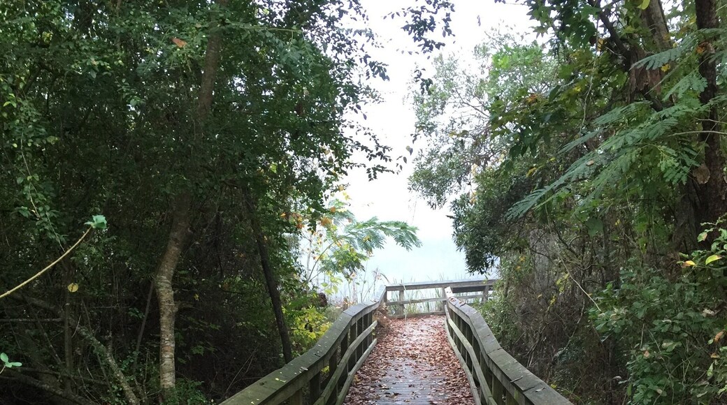 Great spot in Creekside Park in James City, NC - water access / boat launch for kayaks and other small boats.