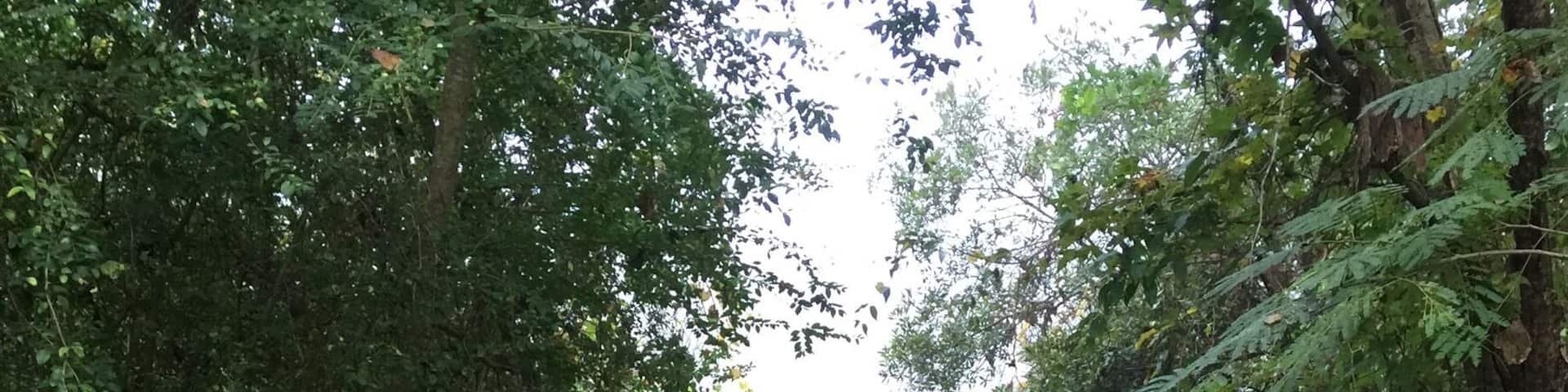 Great spot in Creekside Park in James City, NC - water access / boat launch for kayaks and other small boats.