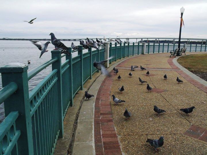 Take a walk along the waterfront.
