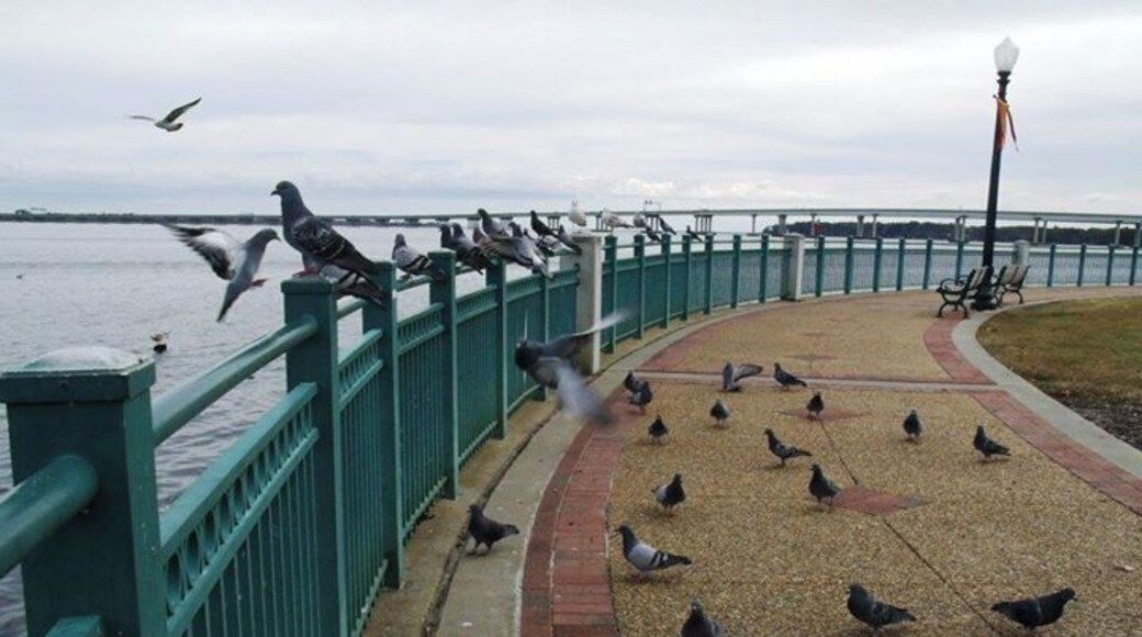 Take a walk along the waterfront.