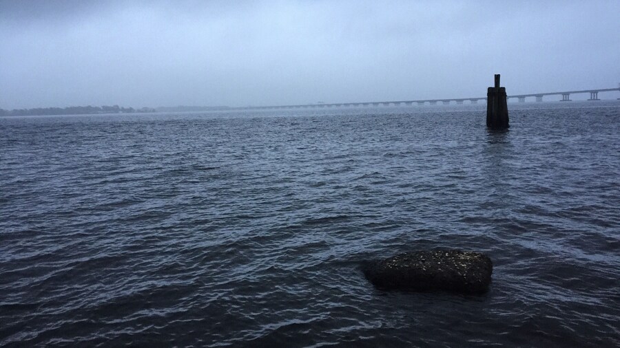 Union Point Park in New Bern, NC. Water access and a lovely view of the bridge.