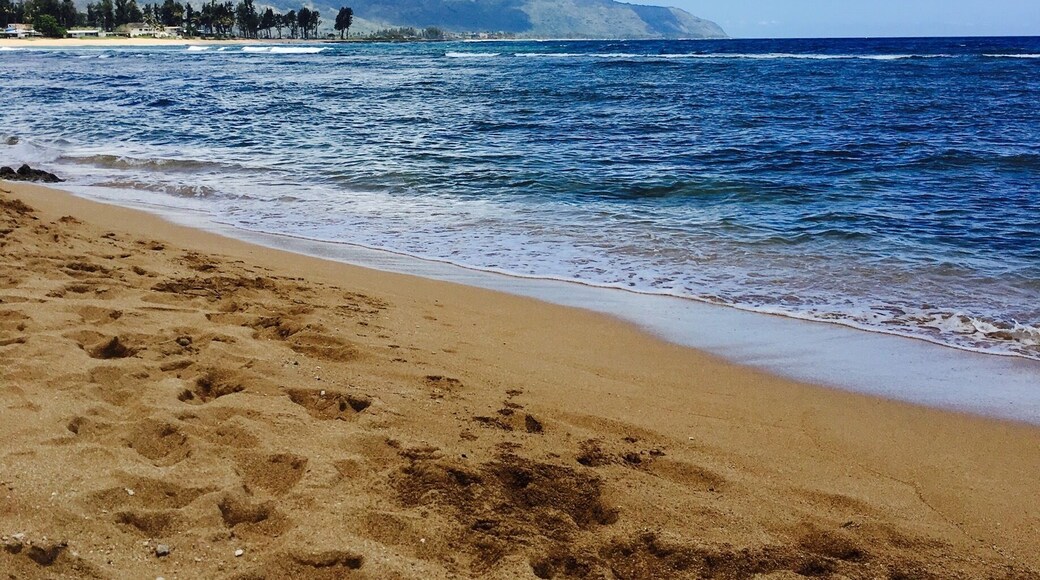 First day on the beach in beautiful Hawaii🌺