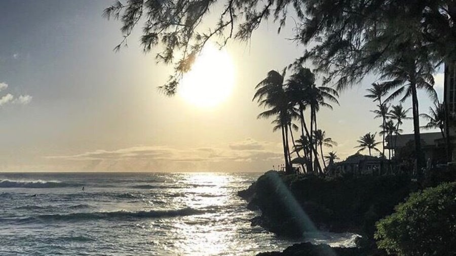 Little surfer dude in Hawaii! Stay at turtle bay! #lifeatexpedia