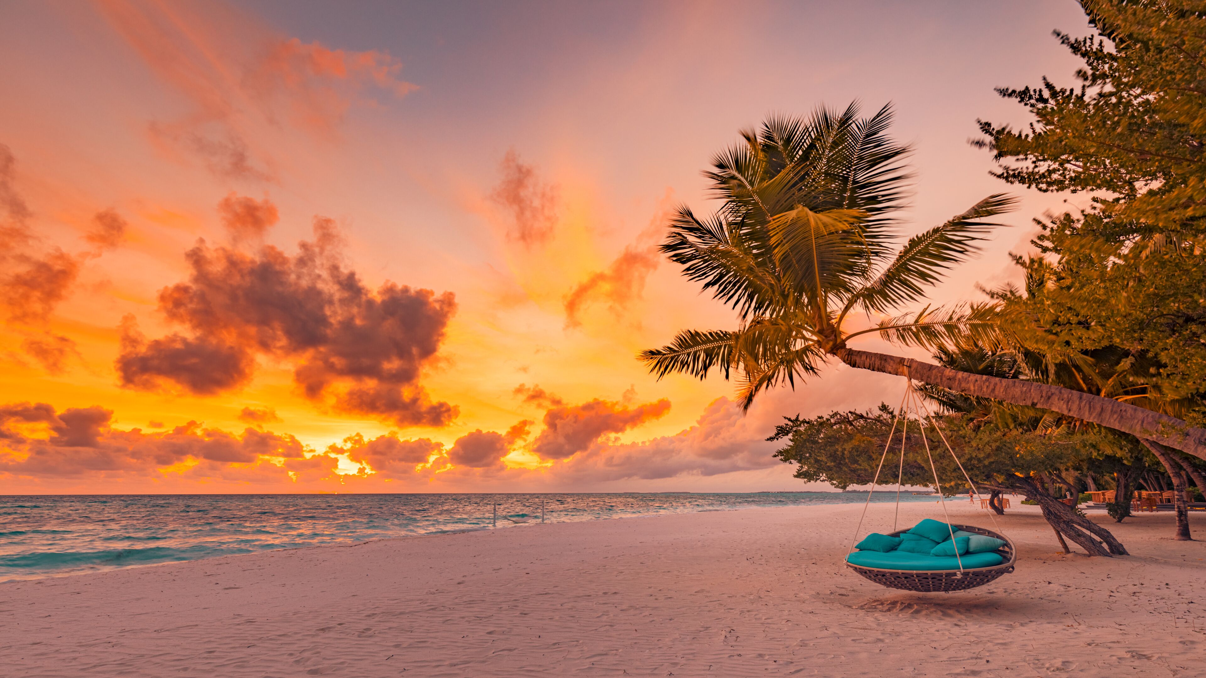 A beach with a swing chair and palm trees at sunset.