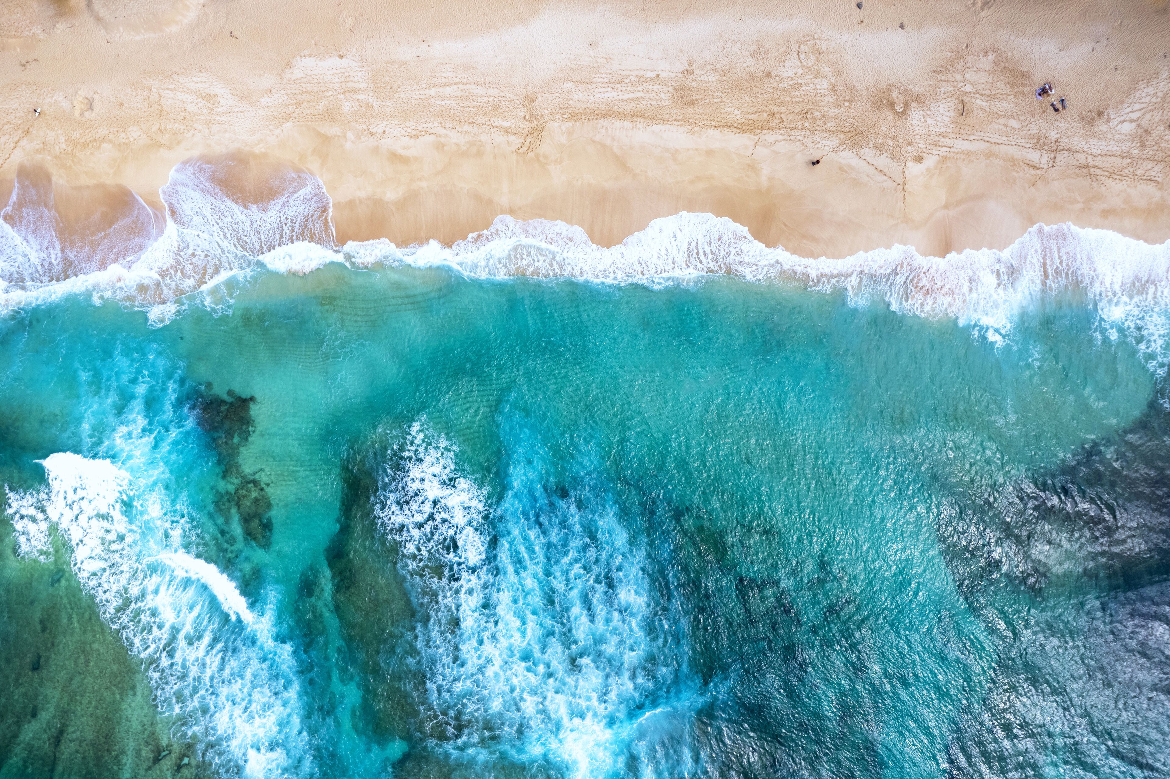 Visit Haleiwa: 2026 Travel Guide for Haleiwa, Hawaii | Expedia