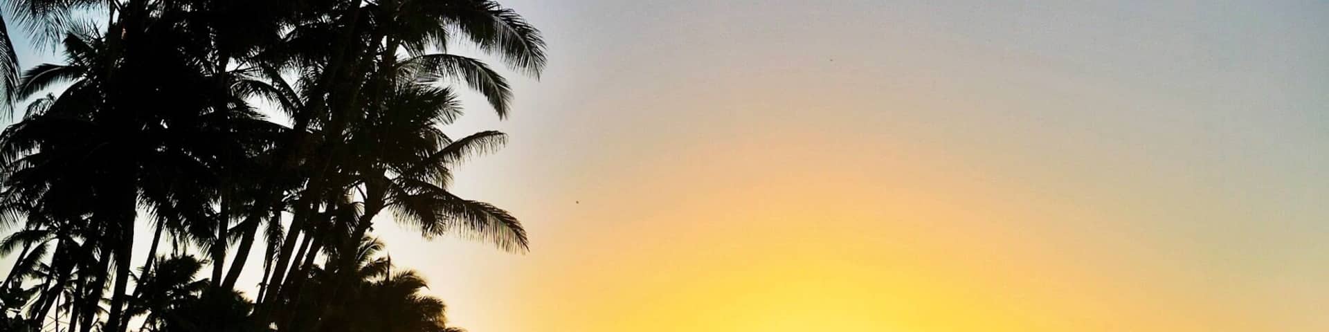 Una playa al atardecer con palmeras y un cielo despejado.