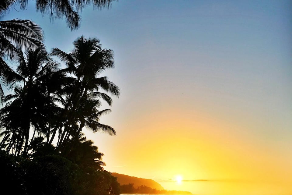 A beach at sunset with palm trees and a clear sky.