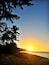 A beach at sunset with palm trees and a clear sky.