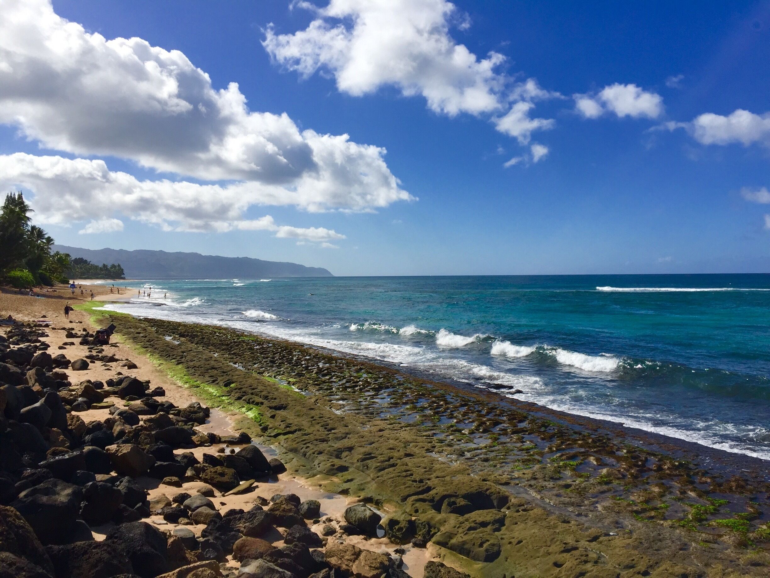 The famous North Shores of Hawaii