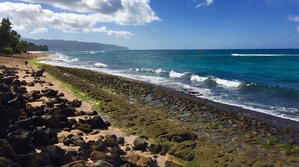 The famous North Shores of Hawaii