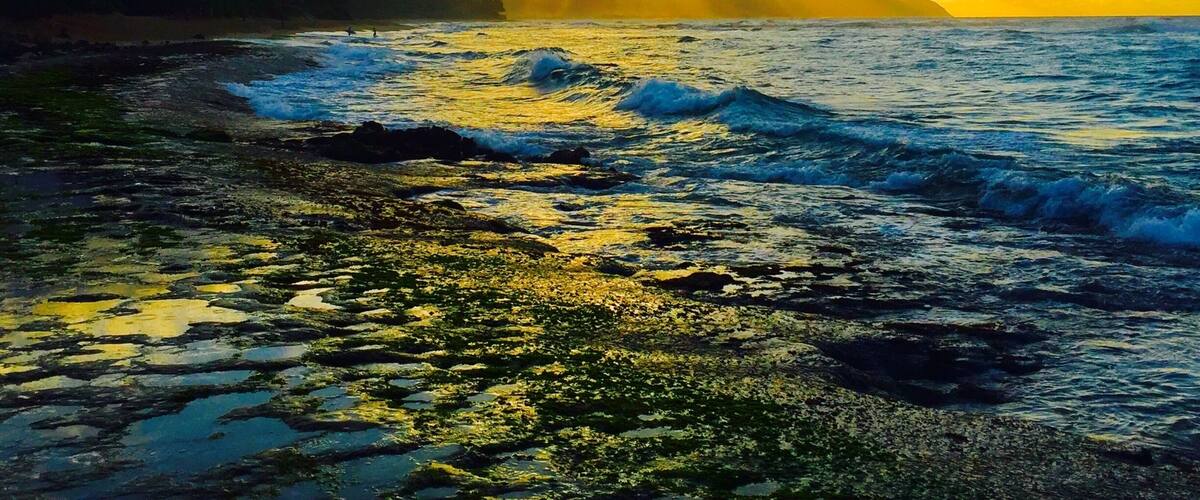 Paradise sunset 🌅