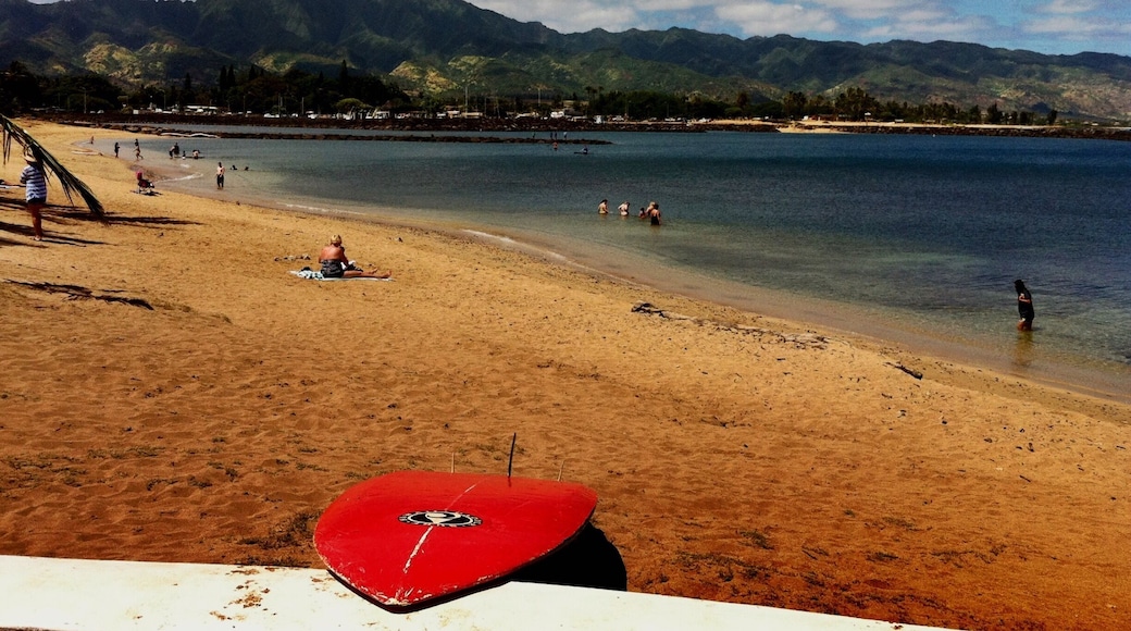 The colorful beaches of Oahu are amazing!
#EndlessSummer