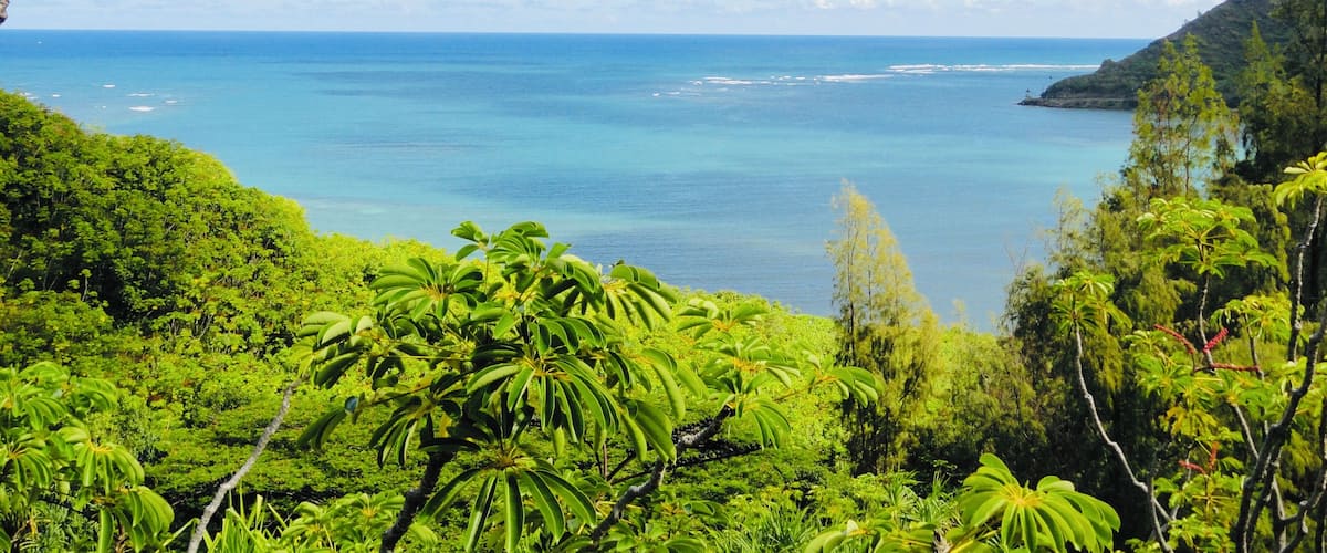 Hiking along the trails of Oahu, HI #adventure